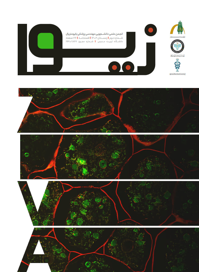 دومین شماره از فصلنامه علمی تخصصی «زیوا» منتشر شد